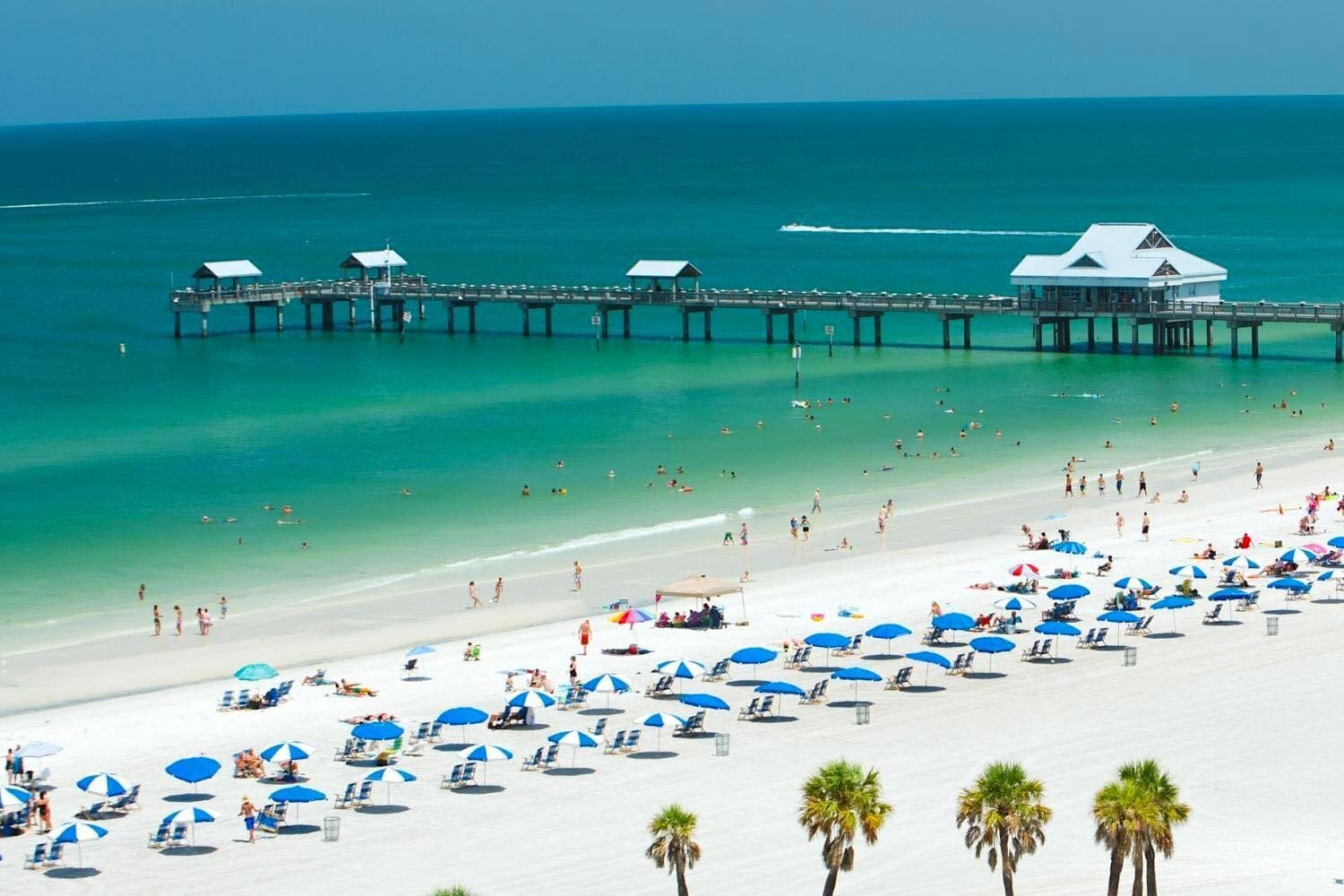 Clearwater Beach Bus Day Trip from Orlando - From $99